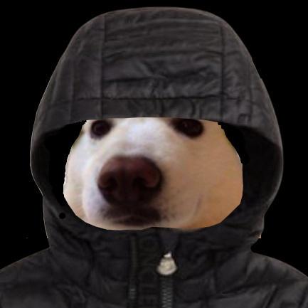 File Organizer GitHub avatar