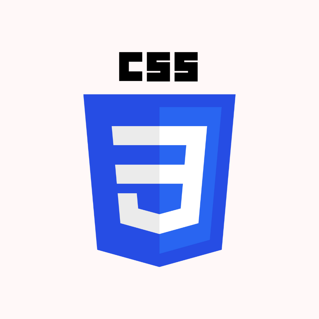 CSS Logo