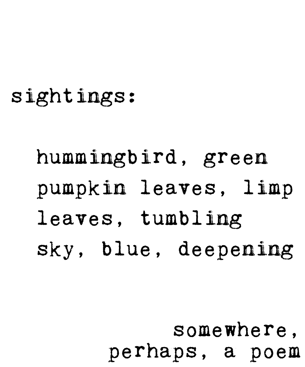 sightings: hummingbird, green pumpkin leaves, limp leaves, tumbling sky, blue, deepening somewhere, perhaps, a poem