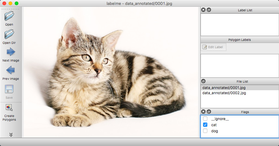 annotation_cat.jpg