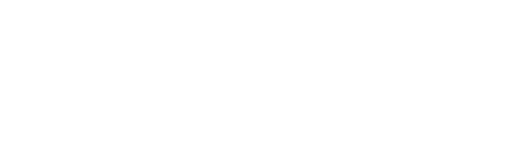 wth-logo.png