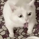 Sentry Issues GitHub avatar