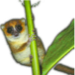 leemr