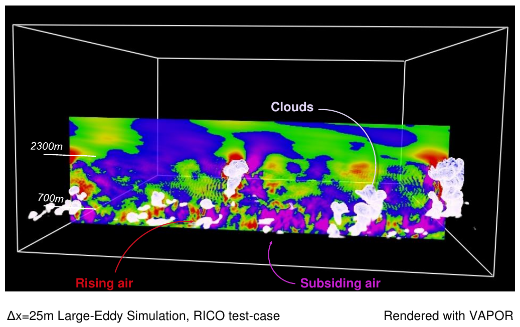 RICO_cross-section_annotated.png