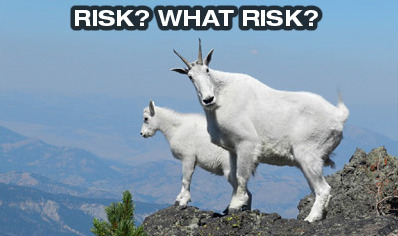 polarion-risk-what-risk.jpg