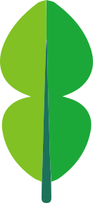 limeleaf-logo.png