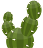 Cactus (3).png