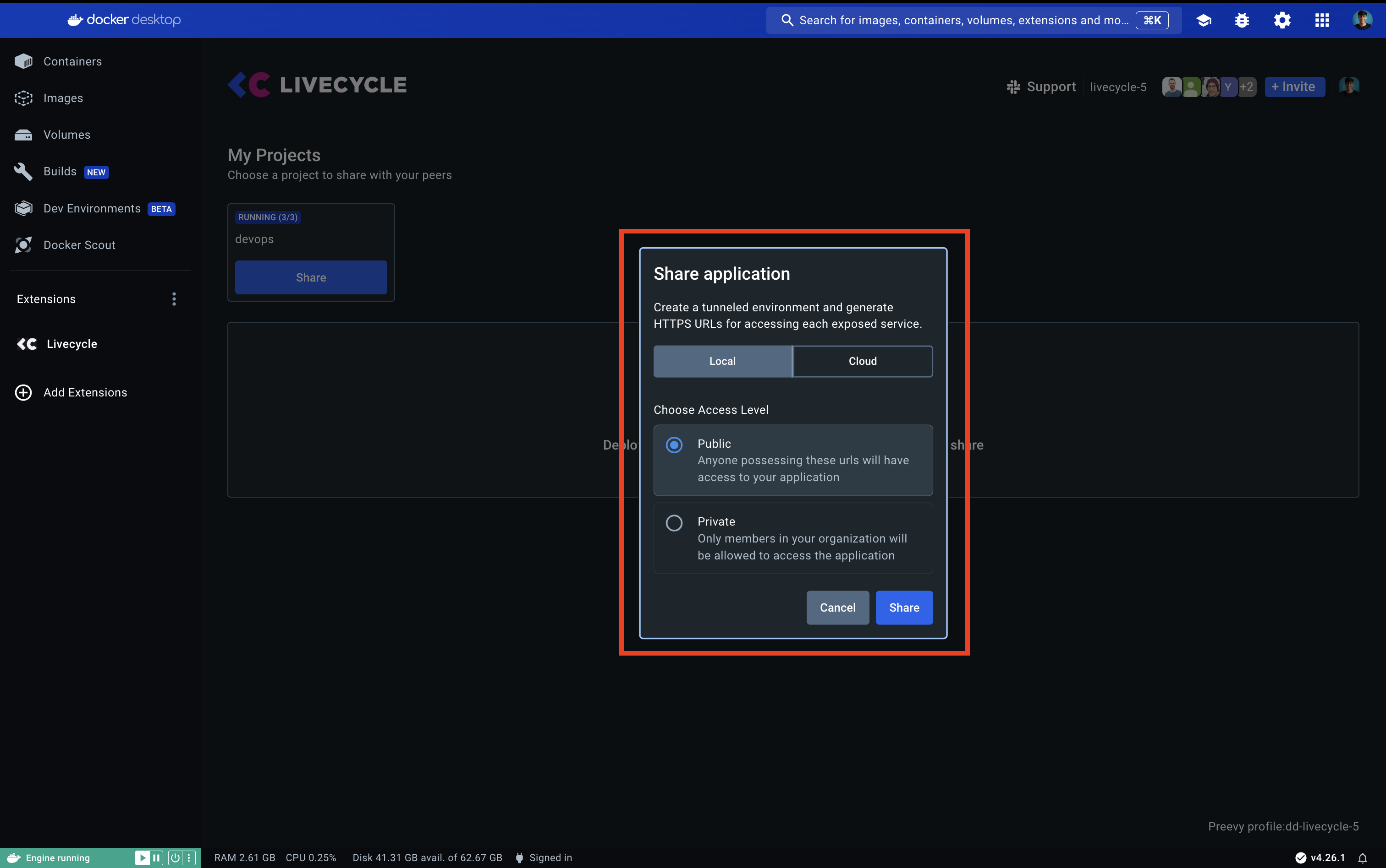Livecycle Docker Extension