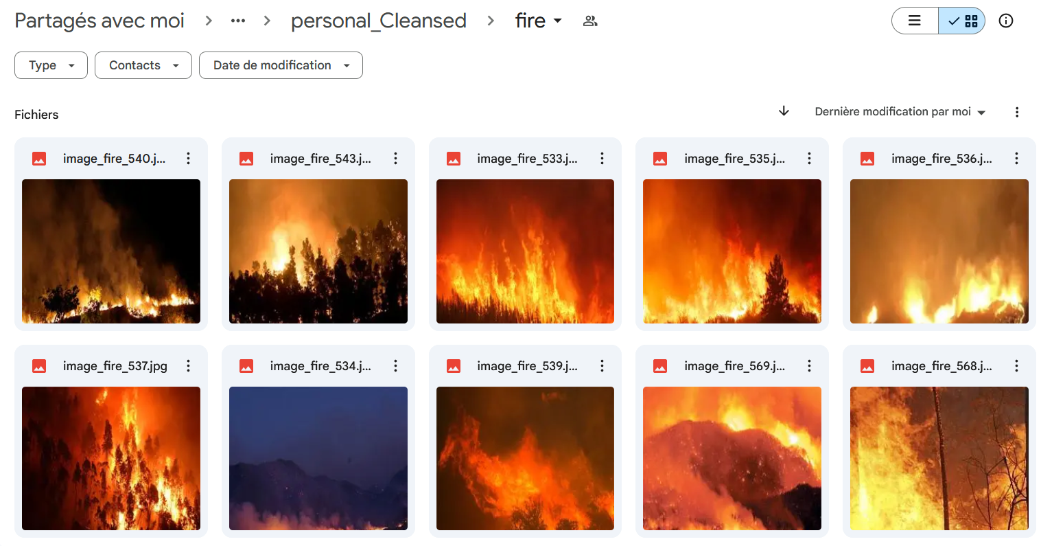 dataset-fire_category.png