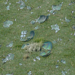 Shattered_plates_on_the_grass.jpg