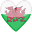 wales_heart@0.125x.png