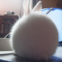 lusipad profile avatar