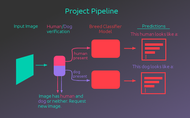 Dog Project Pipeline