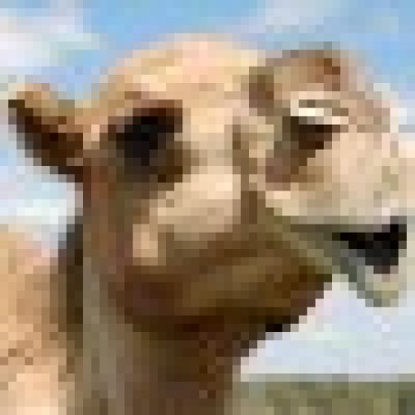 discusser-avatar