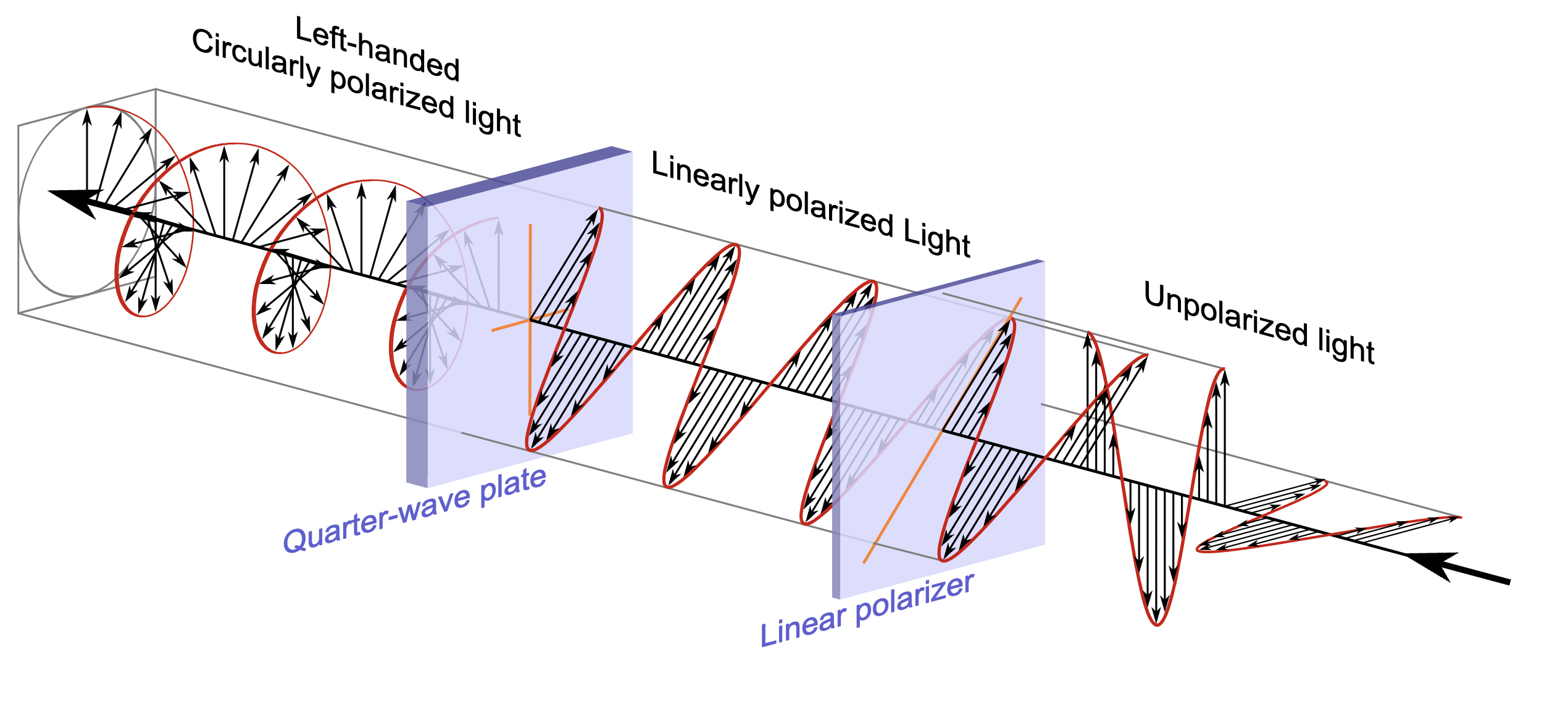 polarisation-of-light.png