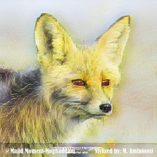 fox2_261.jpg