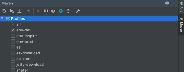 intelij-maven-env-dev-profile.png