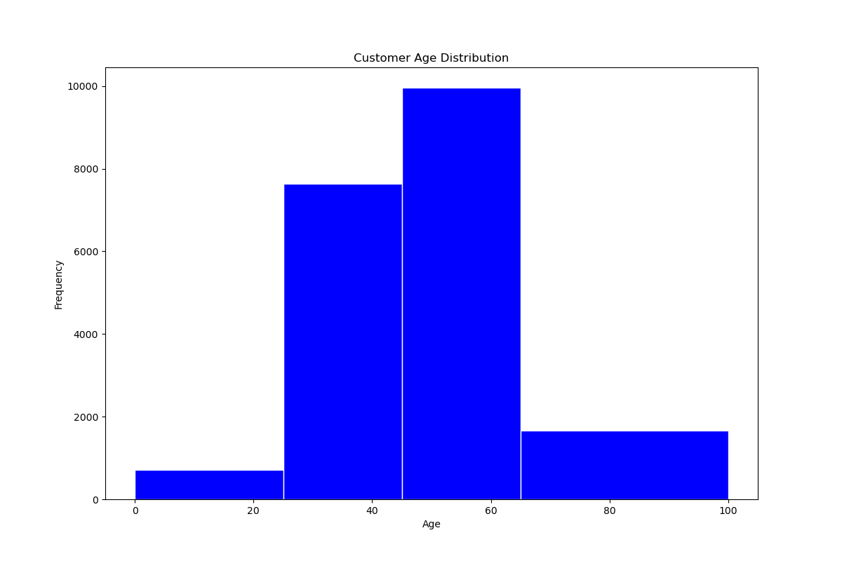 6. Insight_customer_age_distribution.png