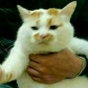 marshfolx profile avatar