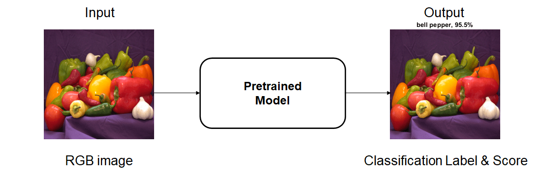 classification_workflow.png