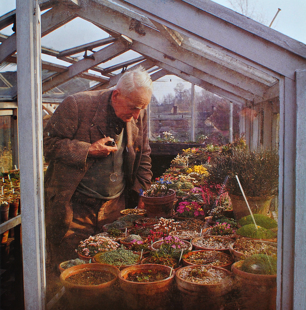 J. R. R. Tolkien in a greenhouse