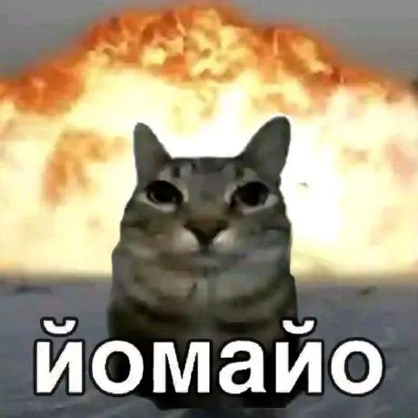 mawwki