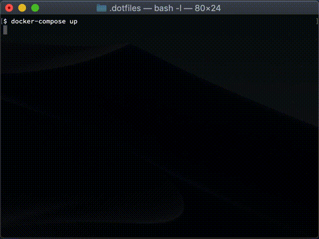 try-with-docker-compose.gif