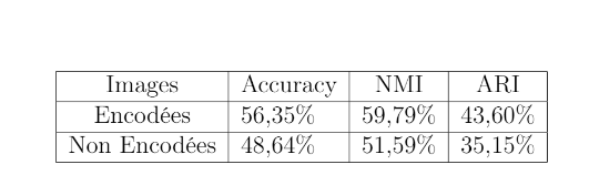 Convolutional Autoencoder Architecture