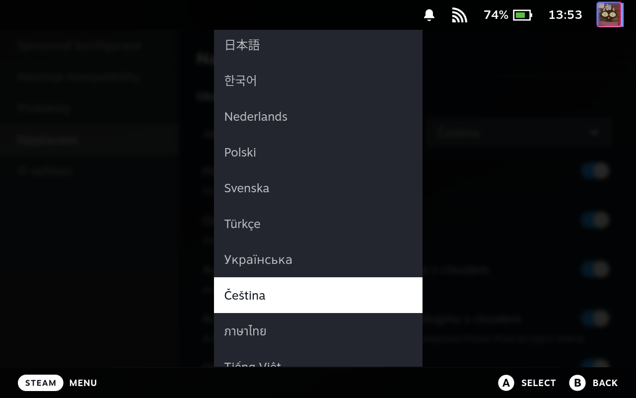 Settings Language Selector