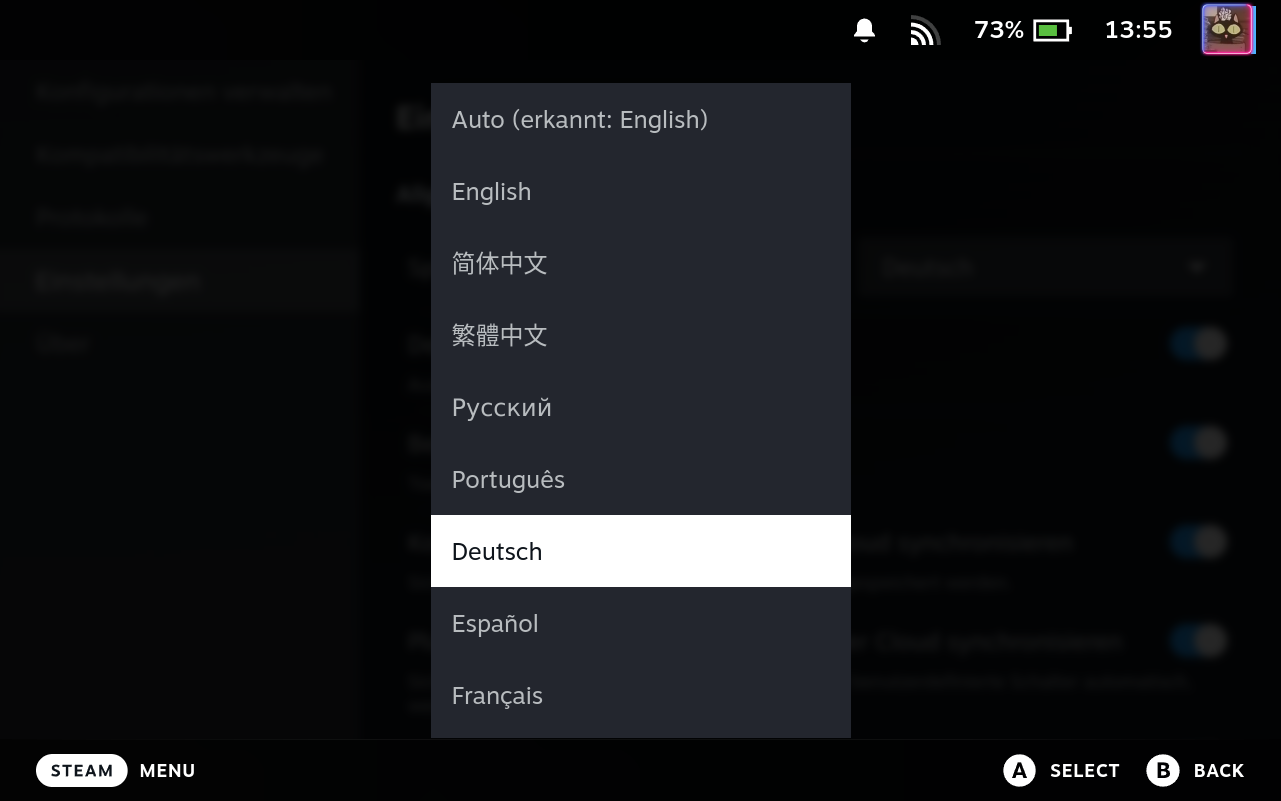 Settings Language Selector