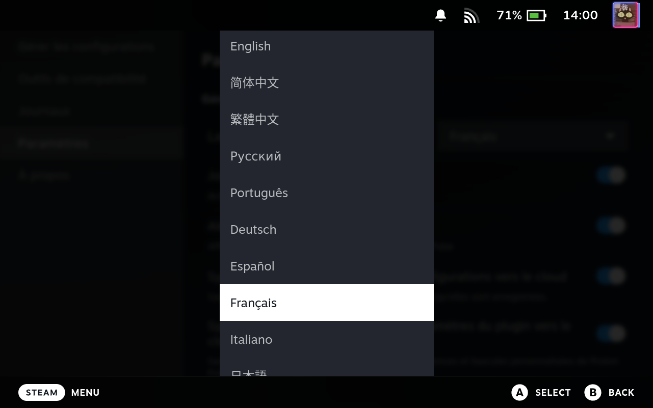 Settings Language Selector