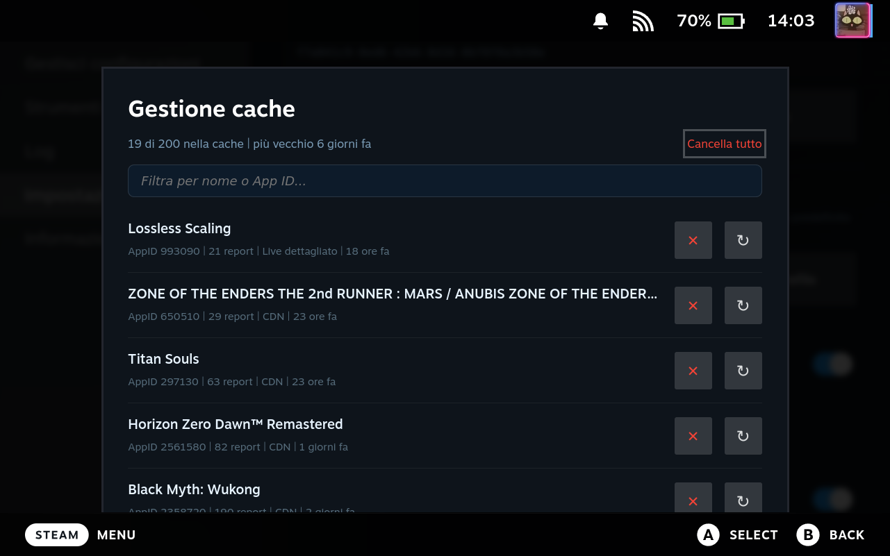 Cache Manager Modal
