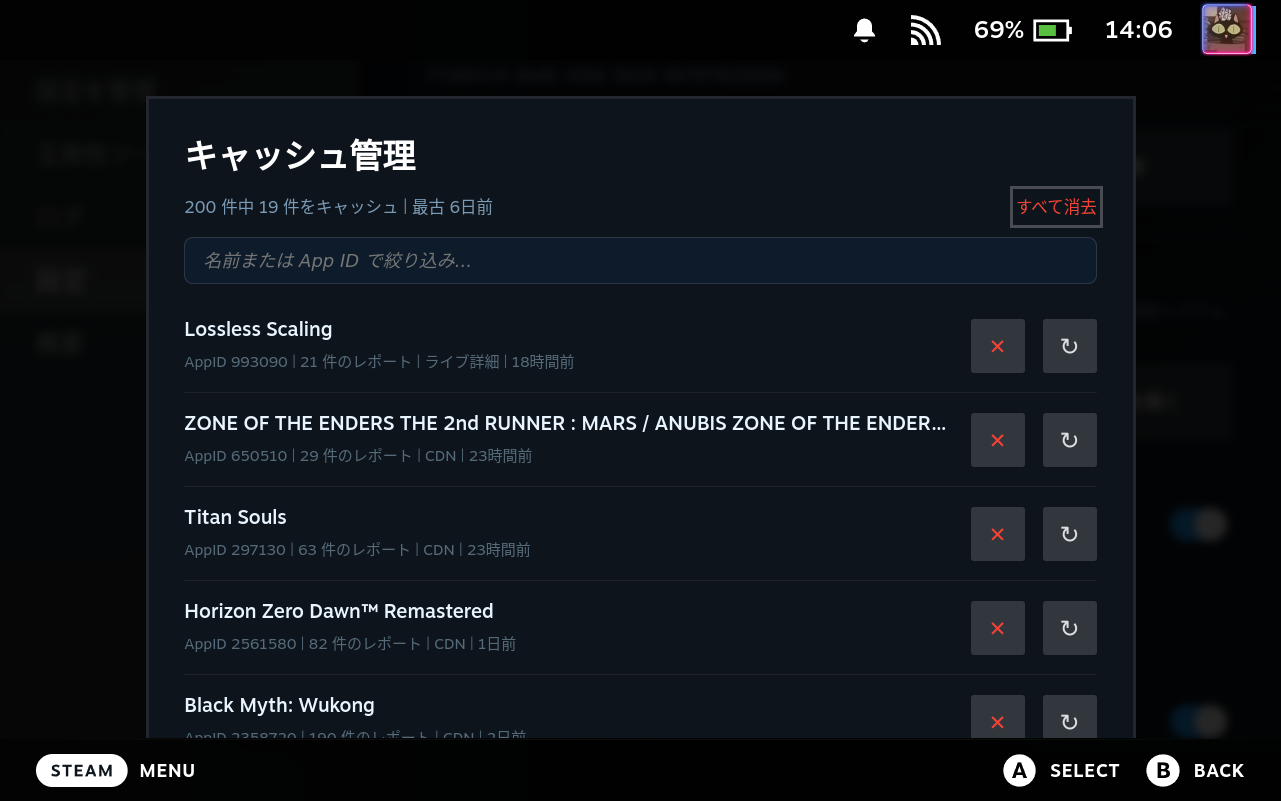 Cache Manager Modal