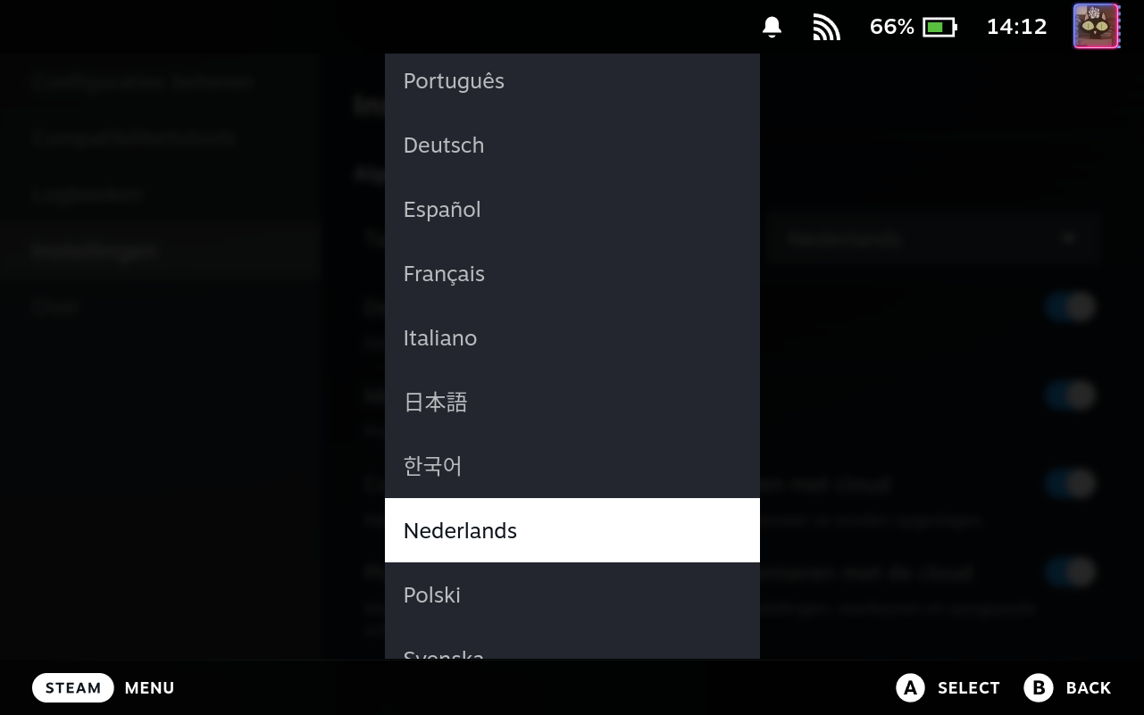 Settings Language Selector