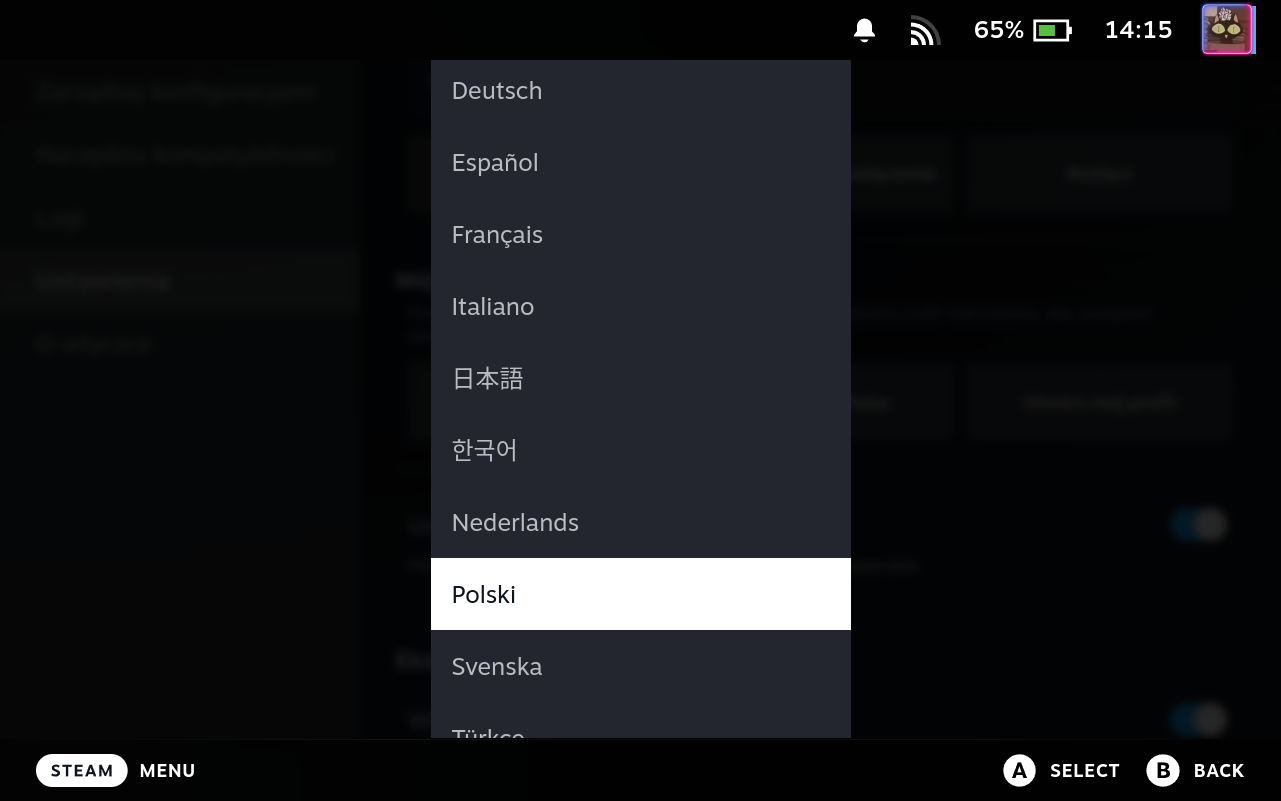 Settings Language Selector