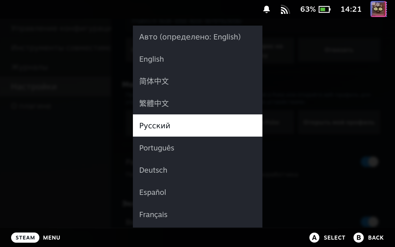 Settings Language Selector