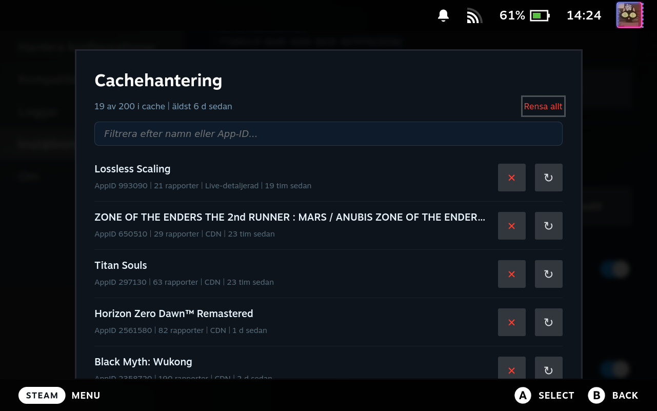 Cache Manager Modal