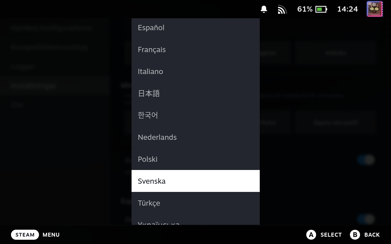 Settings Language Selector