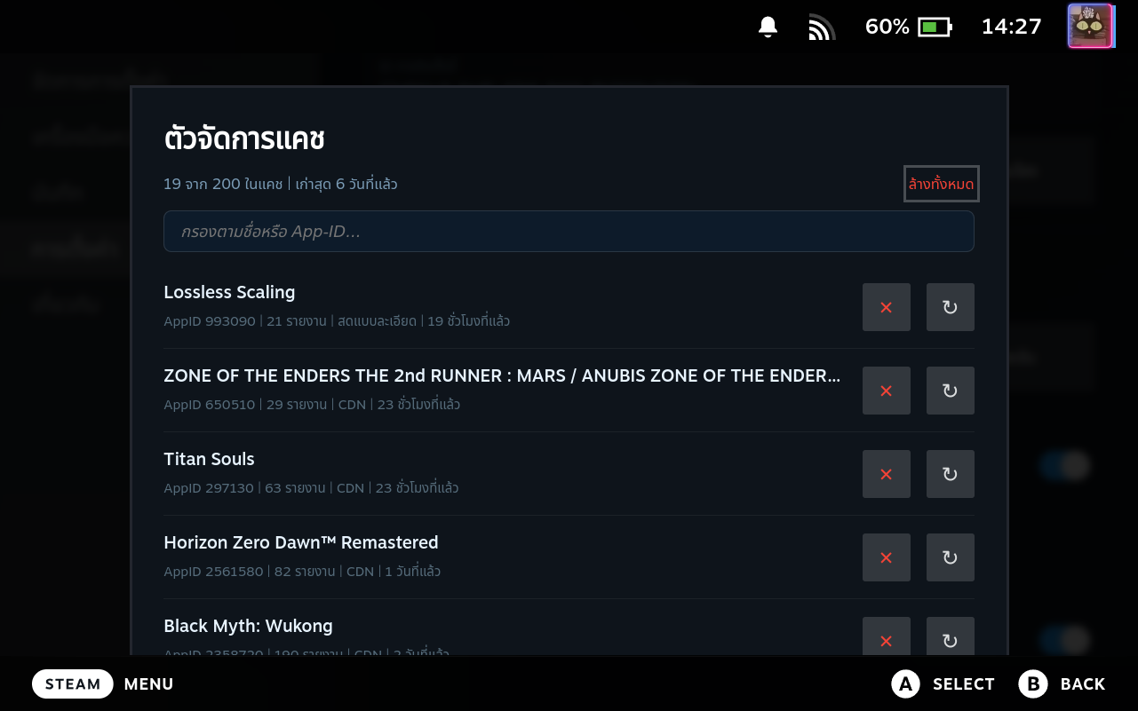 Cache Manager Modal