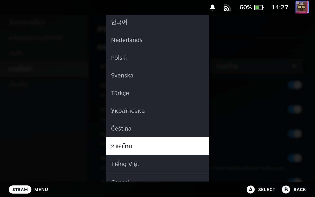 Settings Language Selector