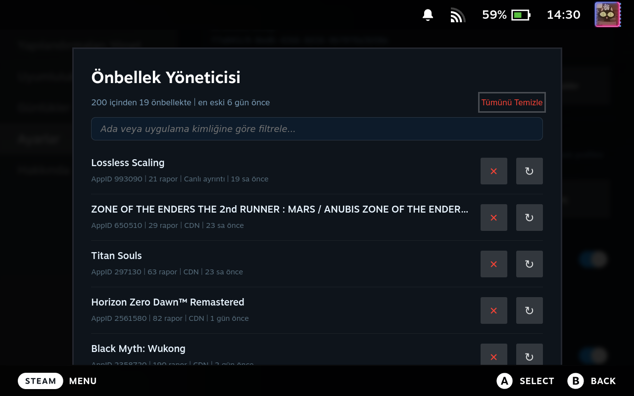 Cache Manager Modal