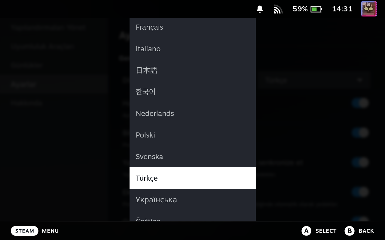 Settings Language Selector