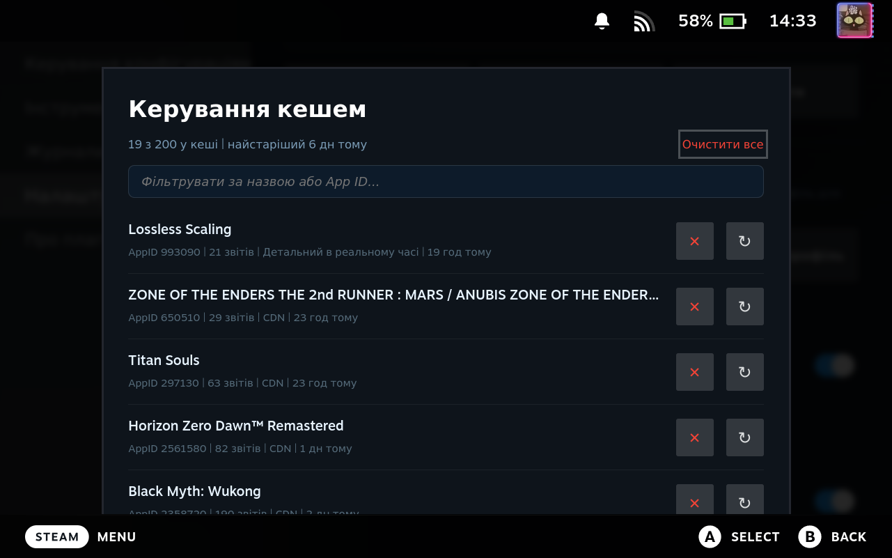 Cache Manager Modal