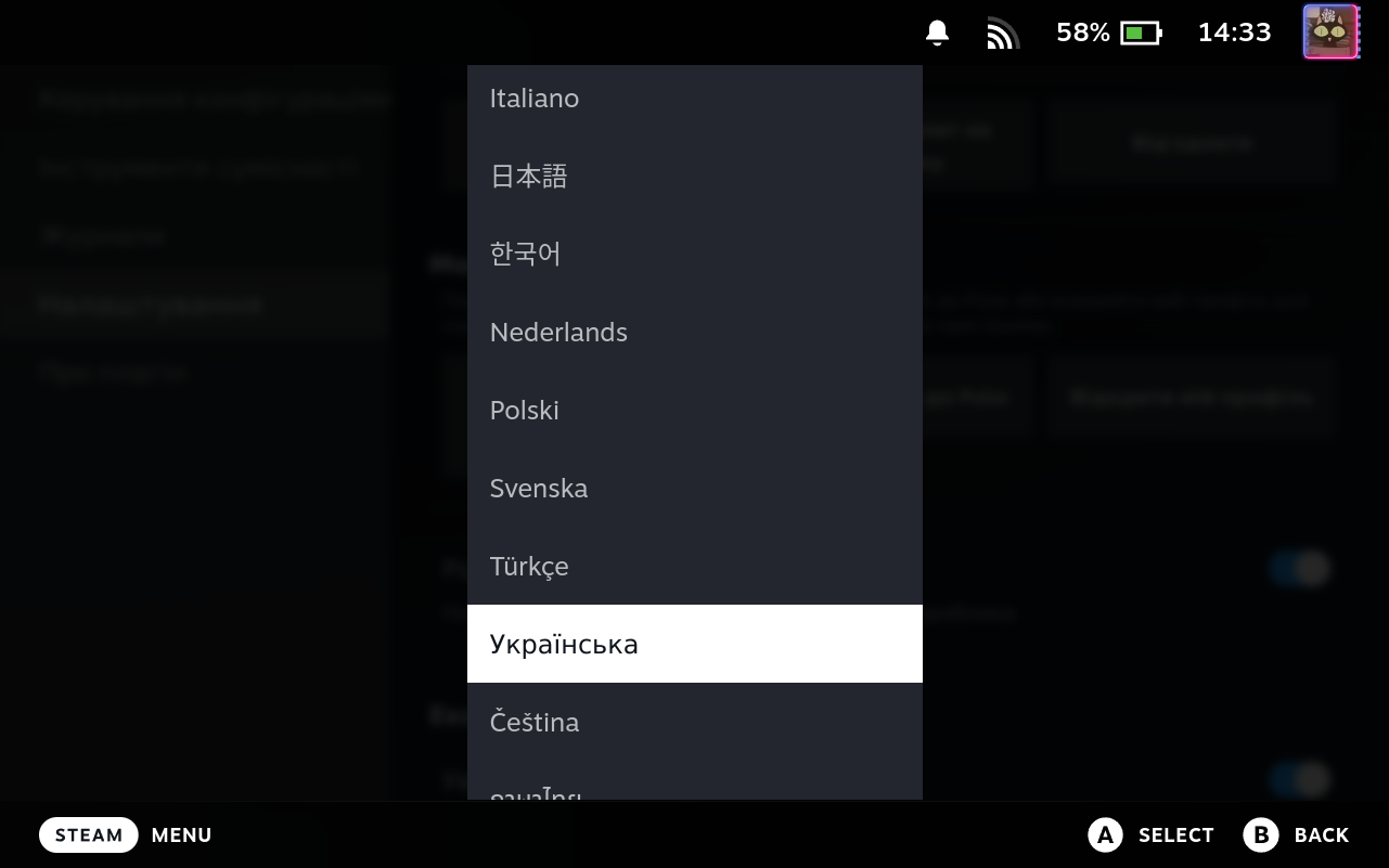Settings Language Selector