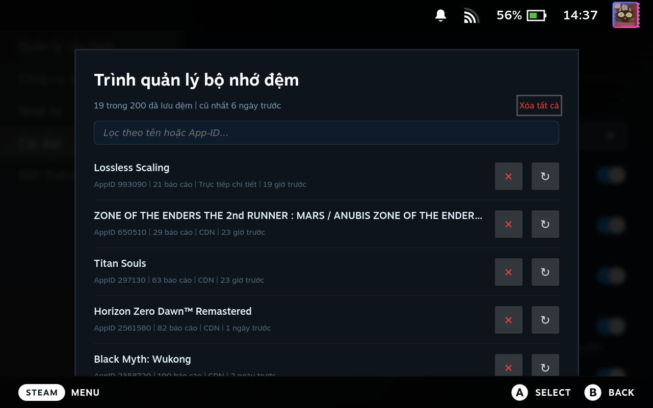 Cache Manager Modal