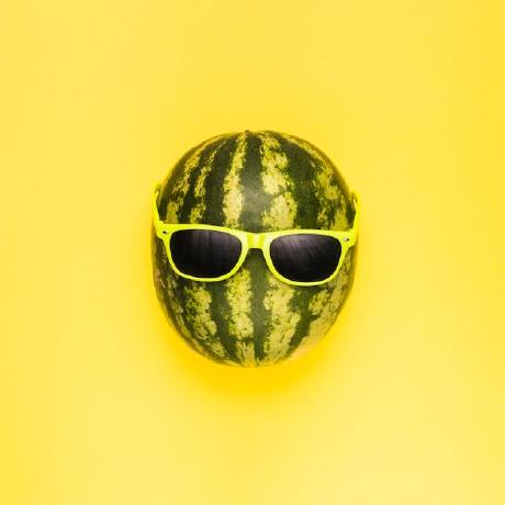 mel0ndev