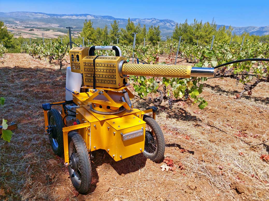 01_agrofelis-robot-in-the-field-vineyard.jpg