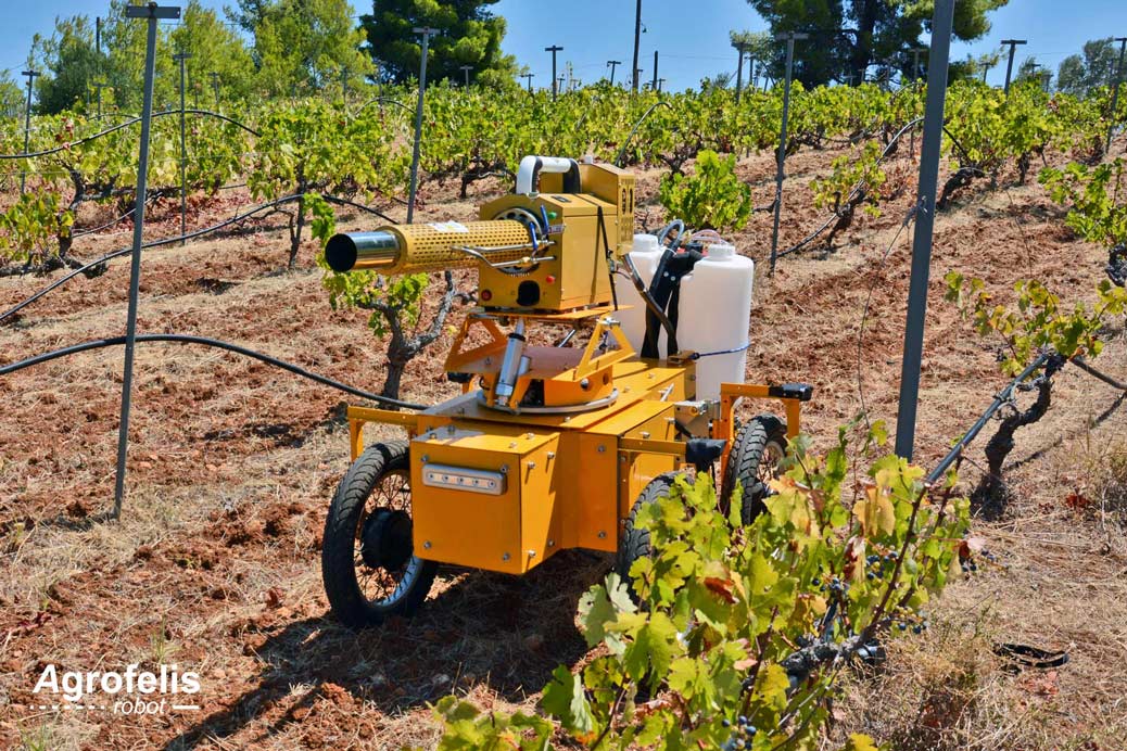 03_agrofelis-robot-in-the-field-vineyard.jpg