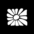 memvid avatar