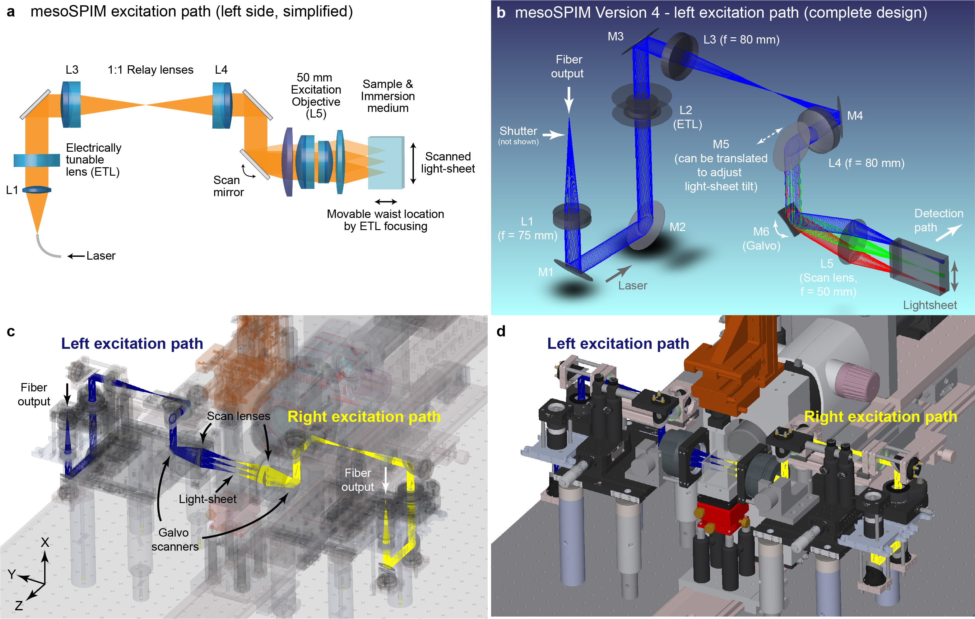 Excitation arm in 3D